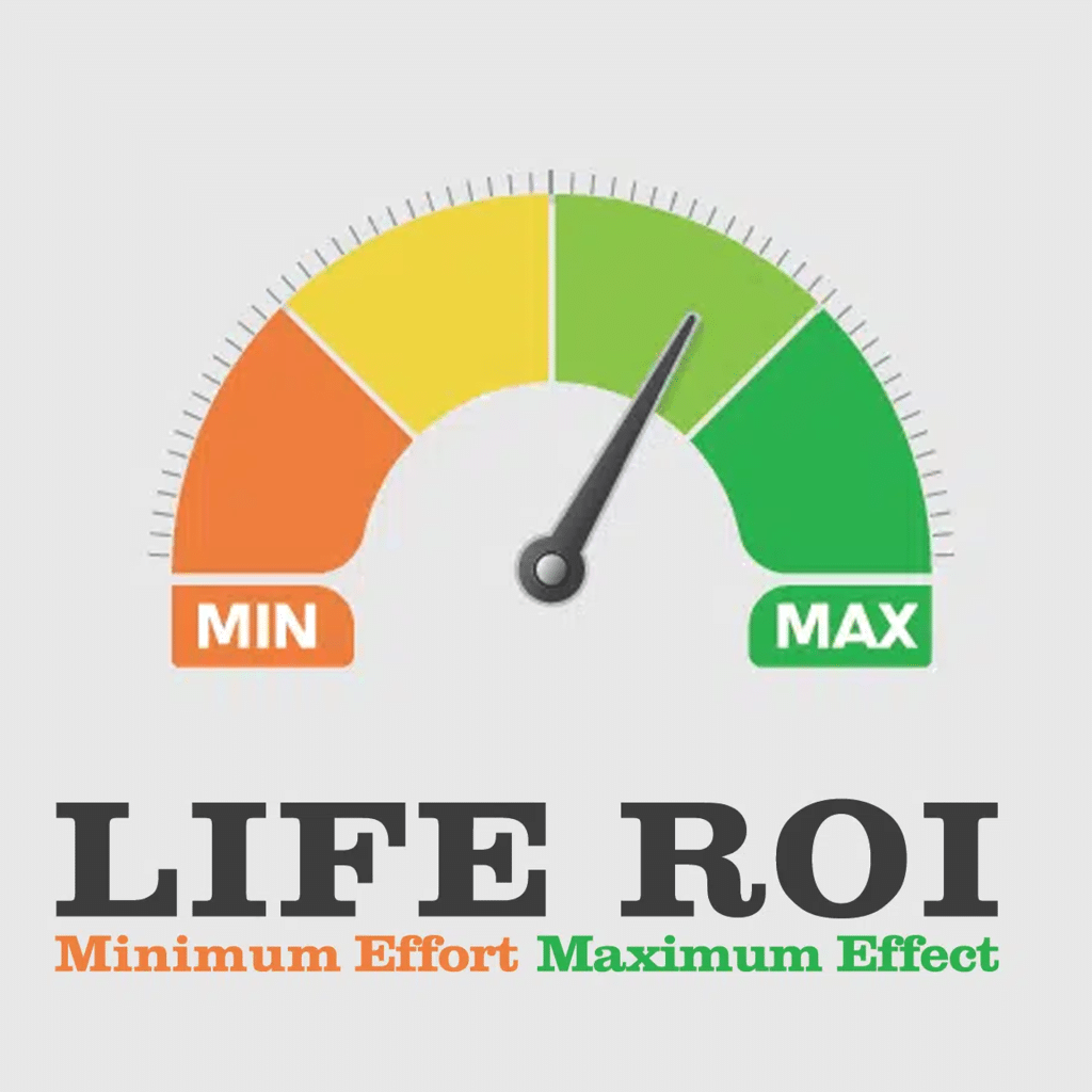 Life ROI
